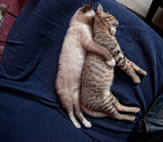 14 vaihetta jotka käyt läpi kun olet ensimmäistä kertaa deittisi luona yön yli