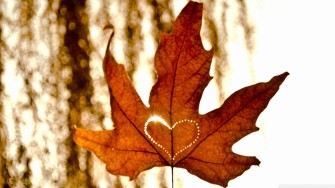 Ahneus ei aina kannata