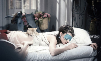 Sinkut – viisampia kuin muut?