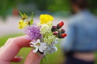 Seitsemän kukkaa tyynyn alle Juhannuksena