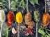 Herbs and spices selection, close up